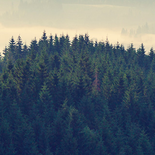 系统优化软件的网站防ddos攻击