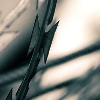 CC在线压力测试