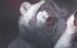 攻击网站服务器